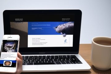 东莞提货系统开发：提升物流效率的数字化解决方案缩略图